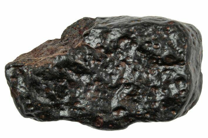 CV Chondrite Meteorite ( g) - NWA #333037